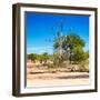 Awesome South Africa Collection Square - African Landscape IV-Philippe Hugonnard-Framed Photographic Print