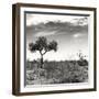 Awesome South Africa Collection Square - African Landscape V B&W-Philippe Hugonnard-Framed Photographic Print