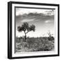 Awesome South Africa Collection Square - African Landscape V B&W-Philippe Hugonnard-Framed Photographic Print