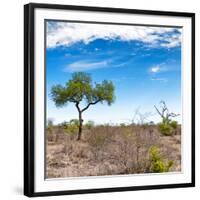 Awesome South Africa Collection Square - African Landscape V-Philippe Hugonnard-Framed Photographic Print