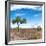 Awesome South Africa Collection Square - African Landscape V-Philippe Hugonnard-Framed Photographic Print