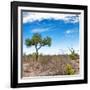 Awesome South Africa Collection Square - African Landscape V-Philippe Hugonnard-Framed Photographic Print