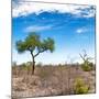 Awesome South Africa Collection Square - African Landscape V-Philippe Hugonnard-Mounted Photographic Print