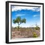 Awesome South Africa Collection Square - African Landscape V-Philippe Hugonnard-Framed Photographic Print