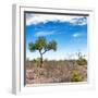 Awesome South Africa Collection Square - African Landscape V-Philippe Hugonnard-Framed Photographic Print