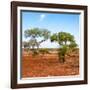 Awesome South Africa Collection Square - African Landscape with Acacia Trees-Philippe Hugonnard-Framed Photographic Print