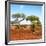 Awesome South Africa Collection Square - African Landscape with Acacia Trees-Philippe Hugonnard-Framed Photographic Print