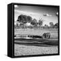 Awesome South Africa Collection Square - African Landscape with Black Rhino B&W-Philippe Hugonnard-Framed Stretched Canvas