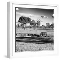 Awesome South Africa Collection Square - African Landscape with Black Rhino B&W-Philippe Hugonnard-Framed Photographic Print