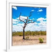 Awesome South Africa Collection Square - African Landscape-Philippe Hugonnard-Framed Photographic Print