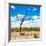 Awesome South Africa Collection Square - African Landscape-Philippe Hugonnard-Framed Photographic Print