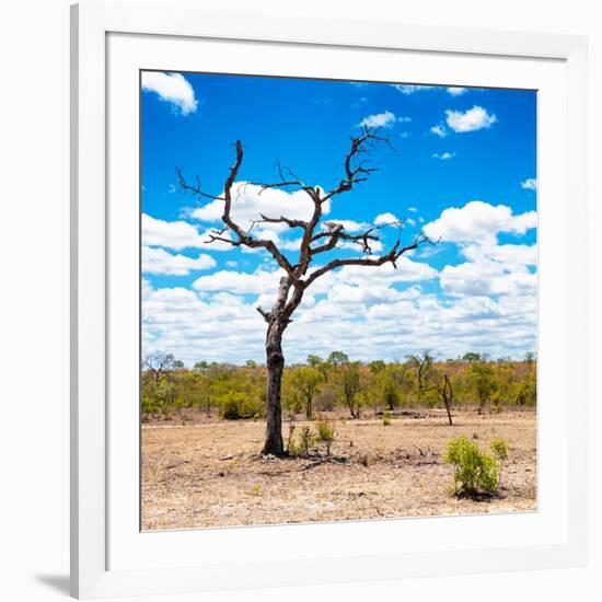 Awesome South Africa Collection Square - African Landscape-Philippe Hugonnard-Framed Photographic Print