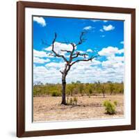 Awesome South Africa Collection Square - African Landscape-Philippe Hugonnard-Framed Photographic Print