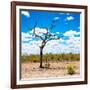 Awesome South Africa Collection Square - African Landscape-Philippe Hugonnard-Framed Photographic Print