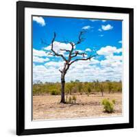 Awesome South Africa Collection Square - African Landscape-Philippe Hugonnard-Framed Photographic Print