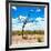 Awesome South Africa Collection Square - African Landscape-Philippe Hugonnard-Framed Photographic Print