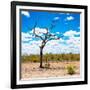 Awesome South Africa Collection Square - African Landscape-Philippe Hugonnard-Framed Photographic Print