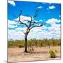 Awesome South Africa Collection Square - African Landscape-Philippe Hugonnard-Mounted Photographic Print