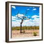 Awesome South Africa Collection Square - African Landscape-Philippe Hugonnard-Framed Photographic Print