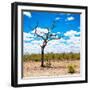 Awesome South Africa Collection Square - African Landscape-Philippe Hugonnard-Framed Photographic Print