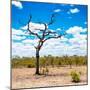 Awesome South Africa Collection Square - African Landscape-Philippe Hugonnard-Mounted Photographic Print