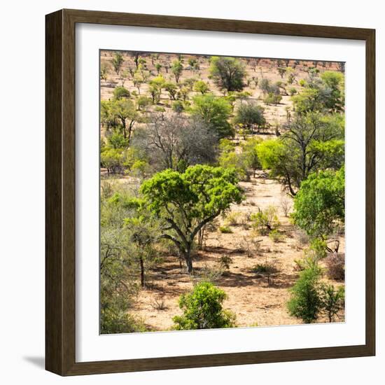 Awesome South Africa Collection Square - African Natural Landscape-Philippe Hugonnard-Framed Photographic Print