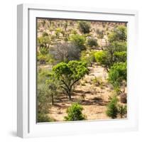 Awesome South Africa Collection Square - African Natural Landscape-Philippe Hugonnard-Framed Photographic Print
