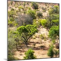 Awesome South Africa Collection Square - African Natural Landscape-Philippe Hugonnard-Mounted Photographic Print