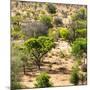 Awesome South Africa Collection Square - African Natural Landscape-Philippe Hugonnard-Mounted Photographic Print