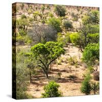 Awesome South Africa Collection Square - African Natural Landscape-Philippe Hugonnard-Stretched Canvas