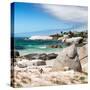 Awesome South Africa Collection Square - African Penguins at Boulders Beach III-Philippe Hugonnard-Stretched Canvas