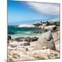 Awesome South Africa Collection Square - African Penguins at Boulders Beach III-Philippe Hugonnard-Mounted Photographic Print