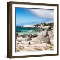 Awesome South Africa Collection Square - African Penguins at Boulders Beach III-Philippe Hugonnard-Framed Photographic Print