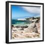Awesome South Africa Collection Square - African Penguins at Boulders Beach III-Philippe Hugonnard-Framed Photographic Print