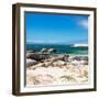 Awesome South Africa Collection Square - African Penguins at Boulders Beach-Philippe Hugonnard-Framed Photographic Print