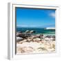 Awesome South Africa Collection Square - African Penguins at Boulders Beach-Philippe Hugonnard-Framed Photographic Print