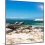 Awesome South Africa Collection Square - African Penguins at Boulders Beach-Philippe Hugonnard-Mounted Photographic Print