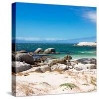 Awesome South Africa Collection Square - African Penguins at Boulders Beach-Philippe Hugonnard-Stretched Canvas