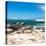 Awesome South Africa Collection Square - African Penguins at Boulders Beach-Philippe Hugonnard-Stretched Canvas