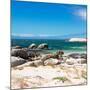 Awesome South Africa Collection Square - African Penguins at Boulders Beach-Philippe Hugonnard-Mounted Photographic Print