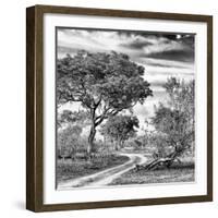 Awesome South Africa Collection Square - African Safari Road B&W-Philippe Hugonnard-Framed Photographic Print