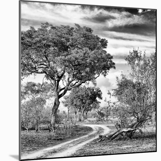 Awesome South Africa Collection Square - African Safari Road B&W-Philippe Hugonnard-Mounted Photographic Print