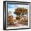 Awesome South Africa Collection Square - African Safari Road with Fall Colors-Philippe Hugonnard-Framed Photographic Print