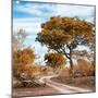 Awesome South Africa Collection Square - African Safari Road with Fall Colors-Philippe Hugonnard-Mounted Photographic Print