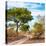 Awesome South Africa Collection Square - African Safari Road-Philippe Hugonnard-Stretched Canvas