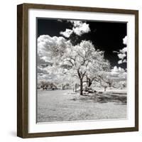 Awesome South Africa Collection Square - Another Look Savannah-Philippe Hugonnard-Framed Photographic Print