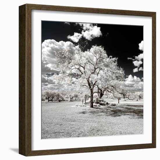 Awesome South Africa Collection Square - Another Look Savannah-Philippe Hugonnard-Framed Photographic Print