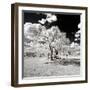 Awesome South Africa Collection Square - Another Look Savannah-Philippe Hugonnard-Framed Photographic Print
