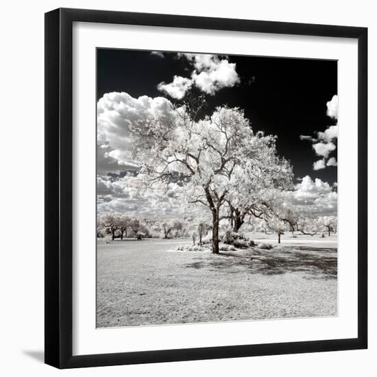 Awesome South Africa Collection Square - Another Look Savannah-Philippe Hugonnard-Framed Photographic Print