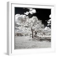 Awesome South Africa Collection Square - Another Look Savannah-Philippe Hugonnard-Framed Photographic Print